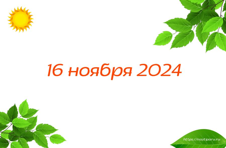 16 ноября 2024