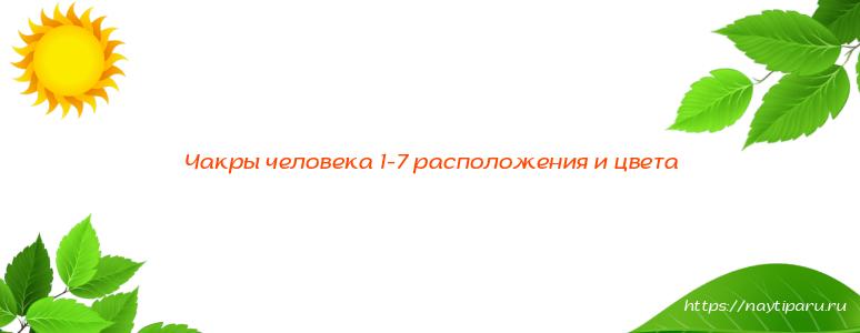 Чакры человека 1-7 расположения и цвета