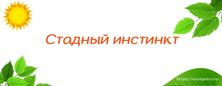 Стадный инстинкт