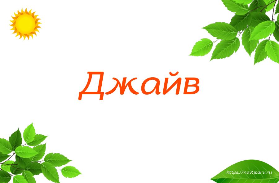 Джайв