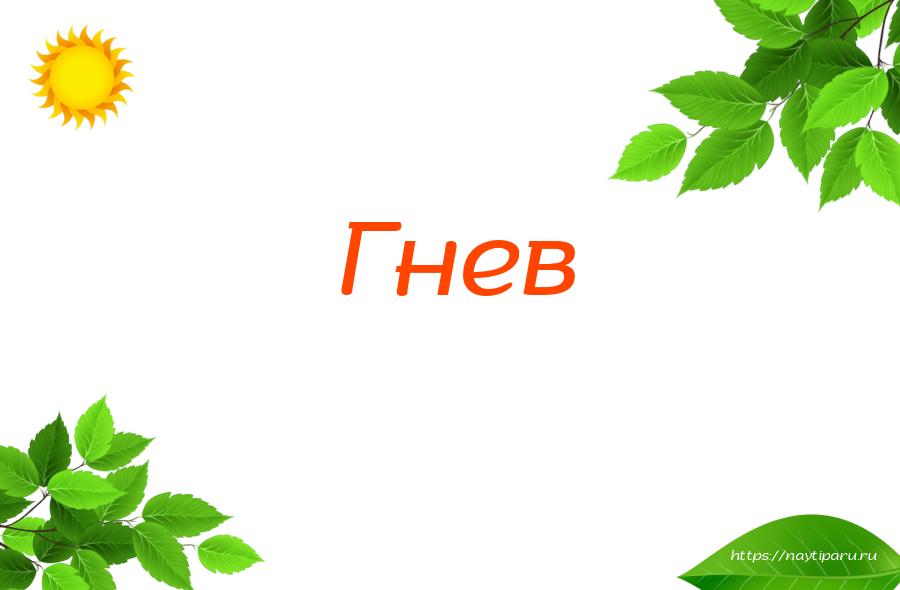 Гнев