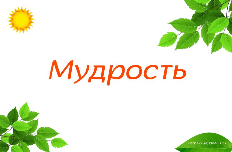 Мудрость